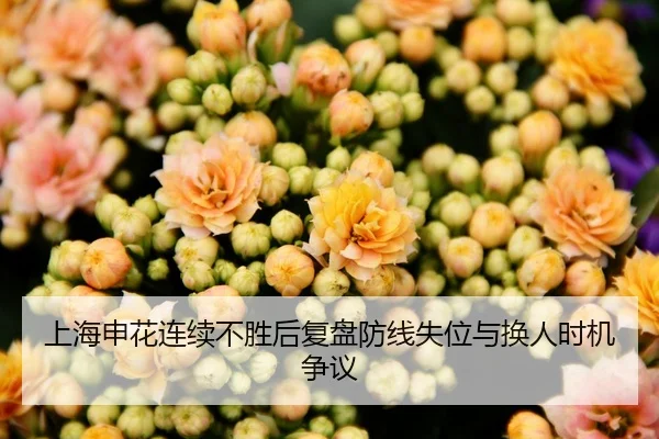 上海申花连续不胜后复盘防线失位与换人时机争议
